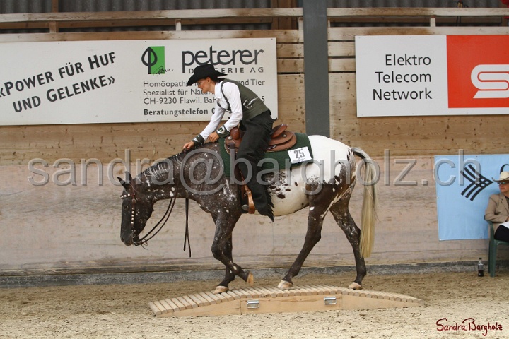 28-ApHC OT_015.jpg